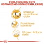 Royal Canin Siamese Adult karma sucha dla kotów dorosłych rasy syjamskiej 2kg - 5
