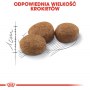 Royal Canin Sterilised karma sucha dla kotów dorosłych, sterylizowanych 2kg - 6