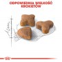 Royal Canin Sensible karma sucha dla kotów dorosłych, o wrażliwym przewodzie pokarmowym 2kg - 6