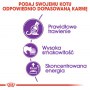 Royal Canin Sensible karma sucha dla kotów dorosłych, o wrażliwym przewodzie pokarmowym 2kg - 5