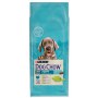 Purina Dog Chow Puppy Large Breed Indyk 14kg - 2