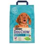 Purina Dog Chow Puppy Jagnięcina 2,5kg - 4