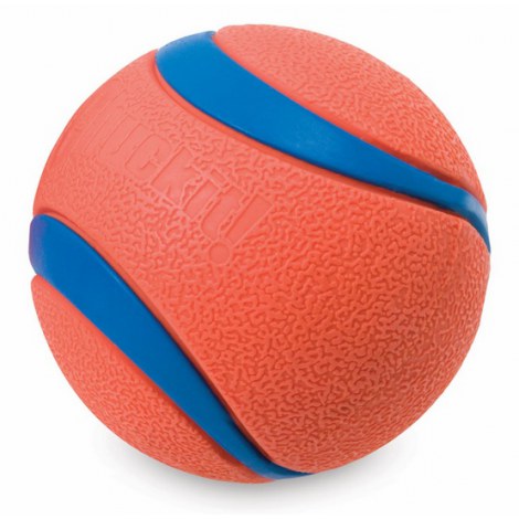 Chuckit! Ultra Ball Medium [170015] - 2