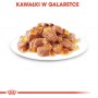 Royal Canin Sterilised w galaretce karma mokra dla kotów dorosłych, sterylizowanych saszetka 85g - 6