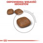 Royal Canin Urinary Care karma sucha dla kotów dorosłych, ochrona dolnych dróg moczowych 10kg - 6