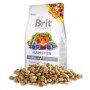 Brit Animals Hamster Complete 100g - 2