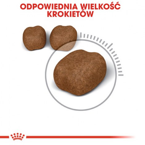 Royal Canin Oral Care karma sucha dla kotów dorosłych, redukująca odkładanie kamienia nazębnego 8kg - 5