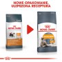 Royal Canin Hair&Skin Care karma sucha dla kotów dorosłych, lśniąca sierść i zdrowa skóra 10kg - 4