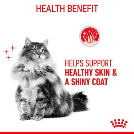 Royal Canin Hair&Skin Care karma sucha dla kotów dorosłych, lśniąca sierść i zdrowa skóra 2kg - 5