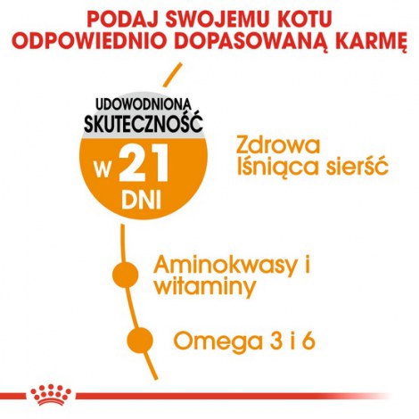 Royal Canin Hair&Skin Care karma sucha dla kotów dorosłych, lśniąca sierść i zdrowa skóra 4kg - 4