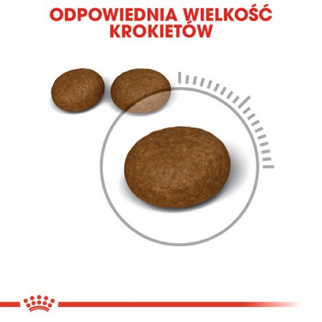 Royal Canin Hair&Skin Care karma sucha dla kotów dorosłych, lśniąca sierść i zdrowa skóra 4kg - 5
