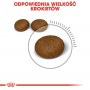 Royal Canin Hair&Skin Care karma sucha dla kotów dorosłych, lśniąca sierść i zdrowa skóra 4kg - 6