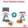 Royal Canin Hairball Care karma sucha dla kotów dorosłych, eliminacja kul włosowych 2kg - 6