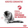 Royal Canin Hairball Care karma sucha dla kotów dorosłych, eliminacja kul włosowych 2kg - 4