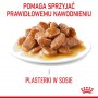 Royal Canin Urinary Care karma mokra dla kotów dorosłych, ochrona dolnych dróg moczowych saszetka 85g - 5