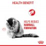 Royal Canin Hairball Care w sosie karma mokra w sosie dla kotów dorosłych, eliminacja kul włosowych saszetka 85g - 6