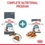 Royal Canin Hairball Care w sosie karma mokra w sosie dla kotów dorosłych, eliminacja kul włosowych saszetka 85g - 5