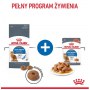 Royal Canin Light Weight Care karma sucha dla kotów dorosłych, utrzymanie prawidłowej masy ciała 400g - 5