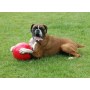 Boomer Ball XL - 10" / 25cm czerwona - 5