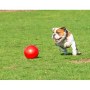 Boomer Ball XL - 10" / 25cm czerwona - 6