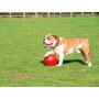 Boomer Ball XL - 10" / 25cm czerwona - 7
