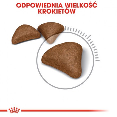 Royal Canin Hairball Care karma sucha dla kotów dorosłych, eliminacja kul włosowych 4kg - 5