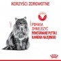 Royal Canin Dental Care karma sucha dla kotów dorosłych, redukująca odkładanie kamienia nazębnego 400g - 4