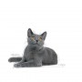 Royal Canin Dental Care karma sucha dla kotów dorosłych, redukująca odkładanie kamienia nazębnego 400g - 6