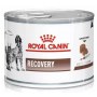 Royal Canin Veterinary Diet Recovery puszka 195g - 2