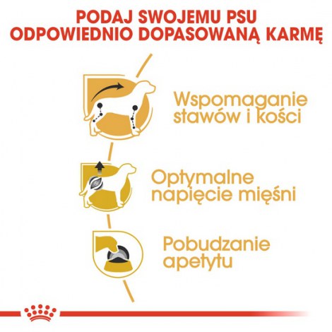 Royal Canin Dachshund karma mokra - pasztet, dla psów dorosłych rasy jamnik saszetka 85g - 5