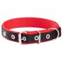 Dingo Obroża taśma polipropylenowa podwójnie zszywana 2,5cm/50cm czarno-czerwona - 2