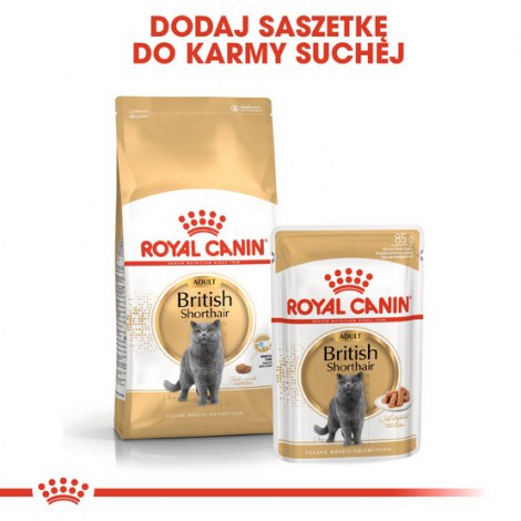 Royal Canin British Shorthair karma mokra w sosie dla kotów dorosłych rasy brytyjski krótkowłosy saszetka 85g - 5