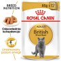 Royal Canin British Shorthair karma mokra w sosie dla kotów dorosłych rasy brytyjski krótkowłosy saszetka 85g - 2