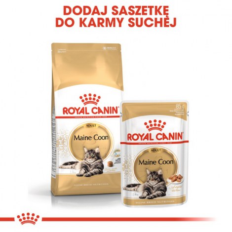 Royal Canin Maine Coon karma mokra w sosie dla kotów dorosłych rasy maine coon saszetka 85g - 5