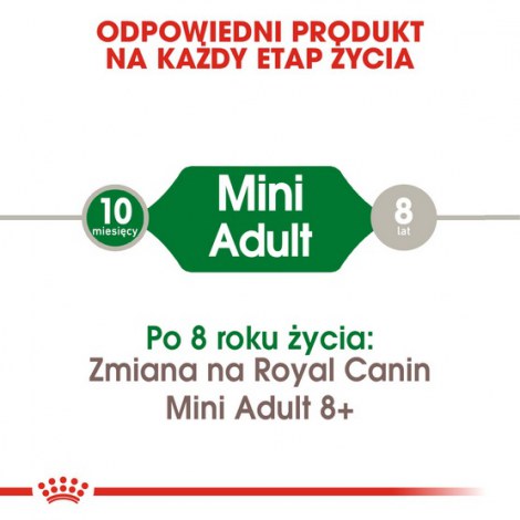Royal Canin Mini Adult karma sucha dla psów dorosłych, ras małych 8kg - 4