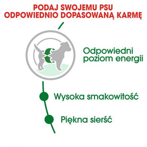 Royal Canin Mini Adult karma sucha dla psów dorosłych, ras małych 8kg - 5