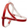Champion Szelki 60 czerwone [SD(R)] - 2