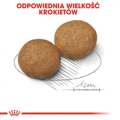 Royal Canin Medium Adult karma sucha dla psów dorosłych, ras średnich 4kg - 6
