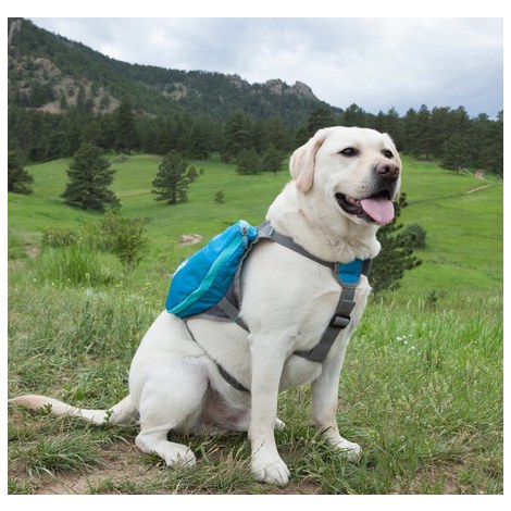Outward Hound Day Pack plecak dla psa medium niebieski [22003] - 2