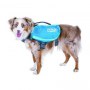 Outward Hound Day Pack plecak dla psa medium niebieski [22003] - 4