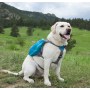 Outward Hound Day Pack plecak dla psa large niebieski [22005] - 3
