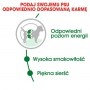 Royal Canin Mini Adult karma sucha dla psów dorosłych, ras małych 2kg - 6