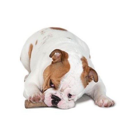 Petstages DogWood petite patyk PS216 - 8