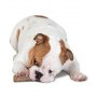 Petstages DogWood large patyk PS219 - 9