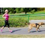 Dingo Smycz do biegania - taśma z amortyzatorem 170cm z rączką czarna - 3