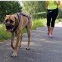 Dingo Smycz do biegania - taśma z amortyzatorem 170cm z karabińczykami zielona - 4
