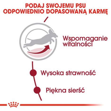 Royal Canin Medium Adult 7+ karma sucha dla psów starszych od 7 do 10 roku życia, ras średnich 15kg - 5