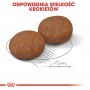 Royal Canin Medium Adult 7+ karma sucha dla psów starszych od 7 do 10 roku życia, ras średnich 15kg - 7
