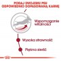 Royal Canin Medium Adult 7+ karma sucha dla psów starszych od 7 do 10 roku życia, ras średnich 15kg - 6