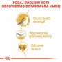 Royal Canin Sphynx Adult karma sucha dla kotów dorosłych rasy sfinks 2kg - 5